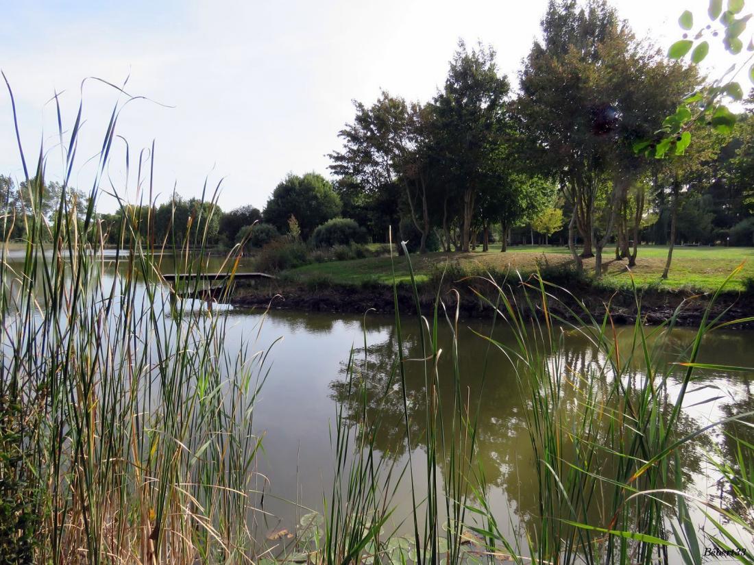 Aigrefeuille d'Aunis