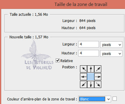 https://s3.archive-host.com/membres/up/502828651/TutoPersoToshop/Dans_les_nuages/Dans_les_nuages_Etape_29.jpg