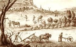 Hiérarchie sociale dans le monde paysan sous l'Ancien Régime
