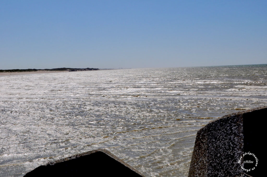 Grand Fort Philippe - Pas de Calais (5)