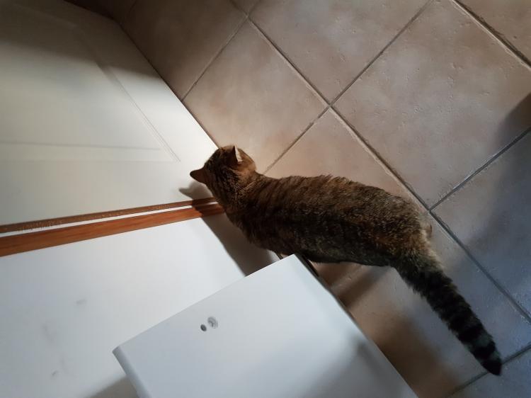 Dimanche c'est Quya et aussi Pâques