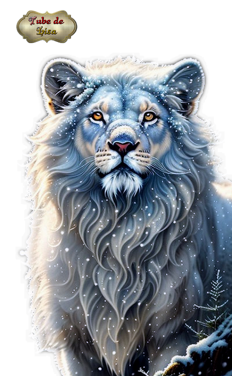 Winter - Animaux 