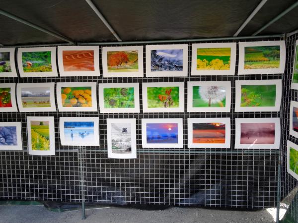 "Passion Peinture" 2014  à Brion sur Ource 