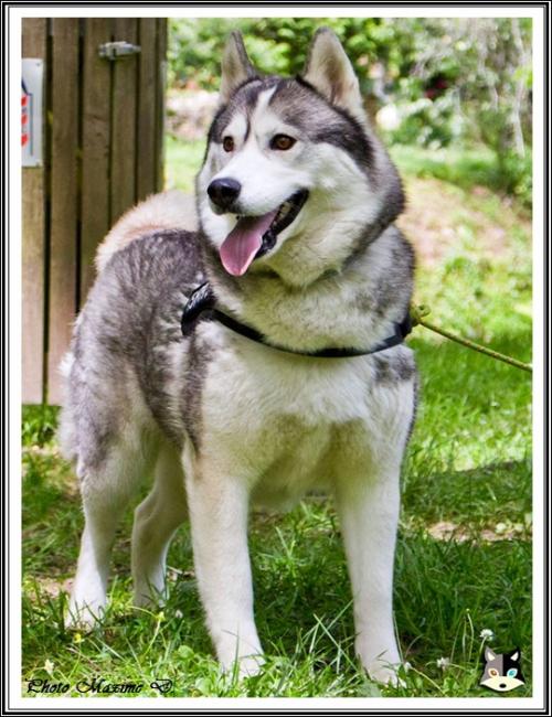 Iska (3,5 ans)