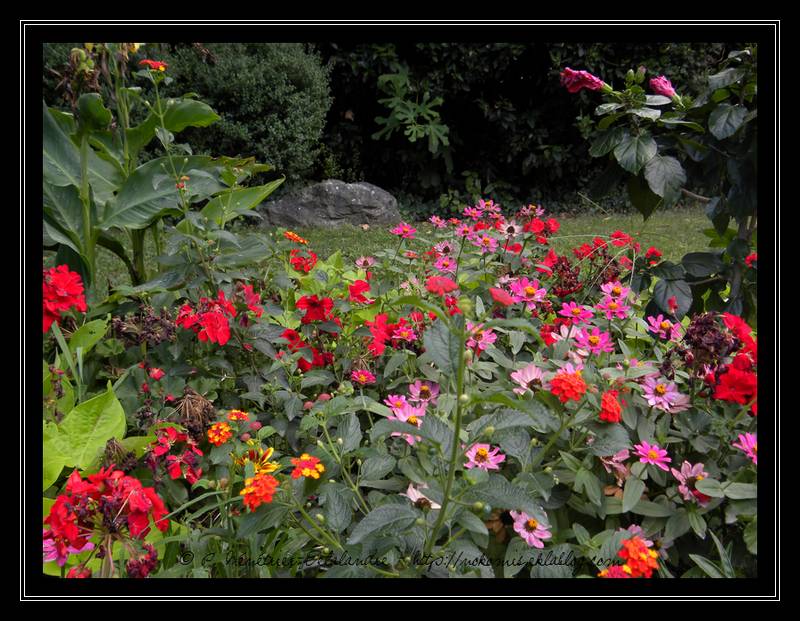 Un jardin comme je les aime...