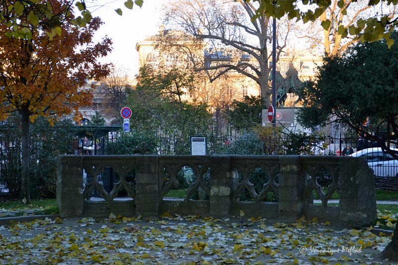  L'île de la Cité : Square René-Viviani - Montebello