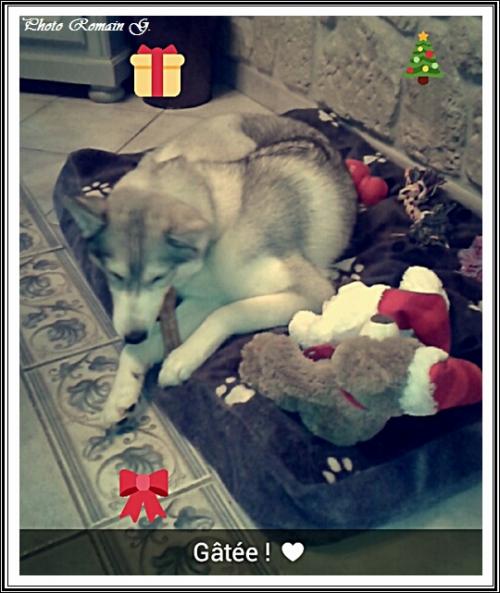 Les cadeaux de Noël (29 décembre 2015)