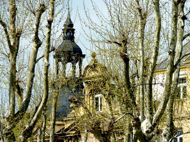 10 Photos Metz 13 Marc de Metz 2012