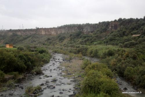 Lundi 19 au dimanche 25.10 + Bonus