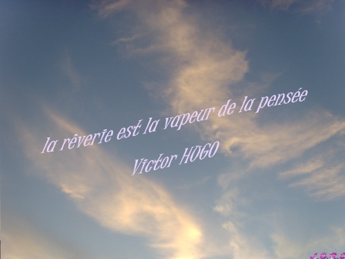 LES PENSEES D'UN REVEUR