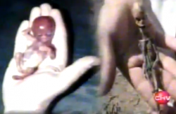 L'humanoïde d'Atacama (Chili)