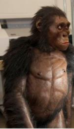 Prémices de l'Humanité en Afrique