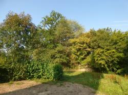 LES REMPARTS DE BOIS-ARNAULT (Eure)