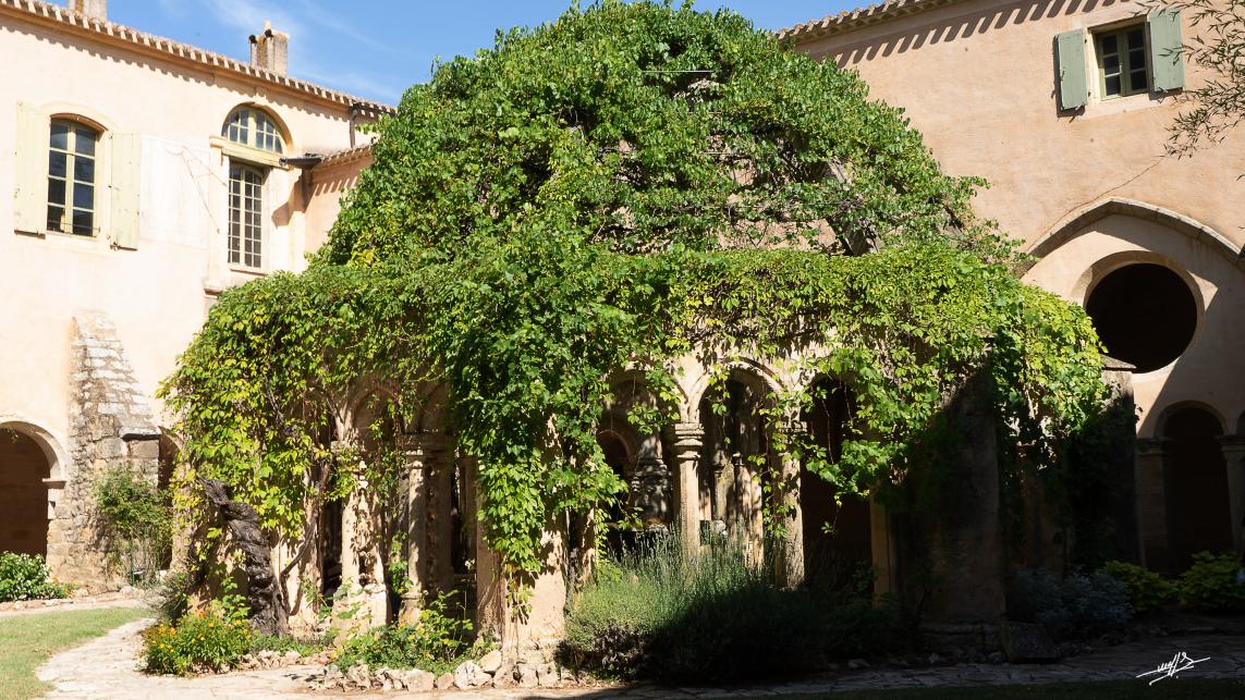 OC 2021 : Valmagne ou les vignes du Seigneur... (2/2)