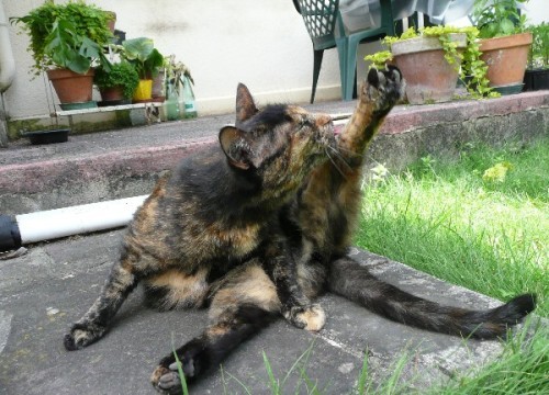 etirements-02.JPG