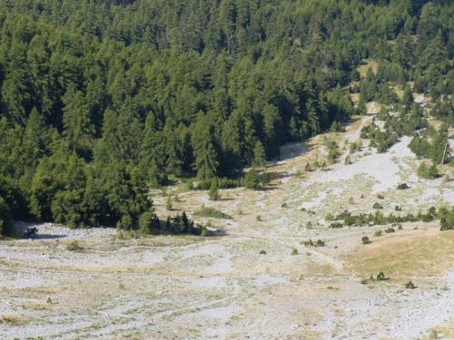 Pic de Bernardez (Seyne les Alpes)