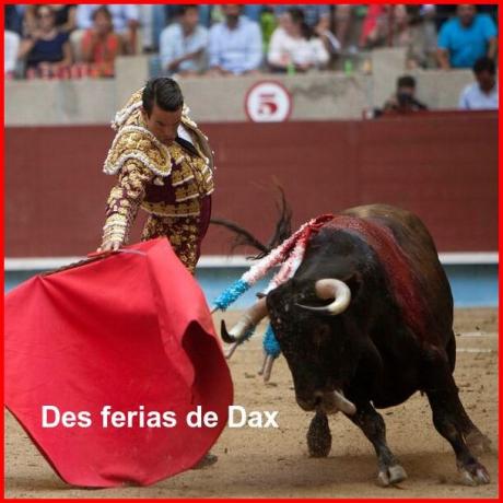 ⊱♥⊱╮ღ꧁  40 LES LANDES ꧂ღ ⊱♥≺  