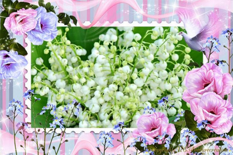des fonds (fête du Muguet )pour vos créations