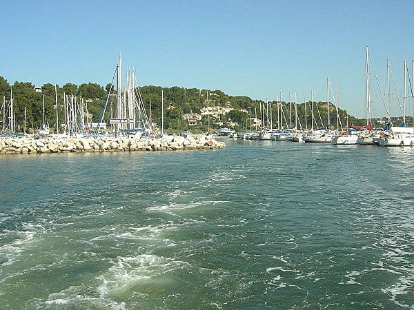 Photo 001
