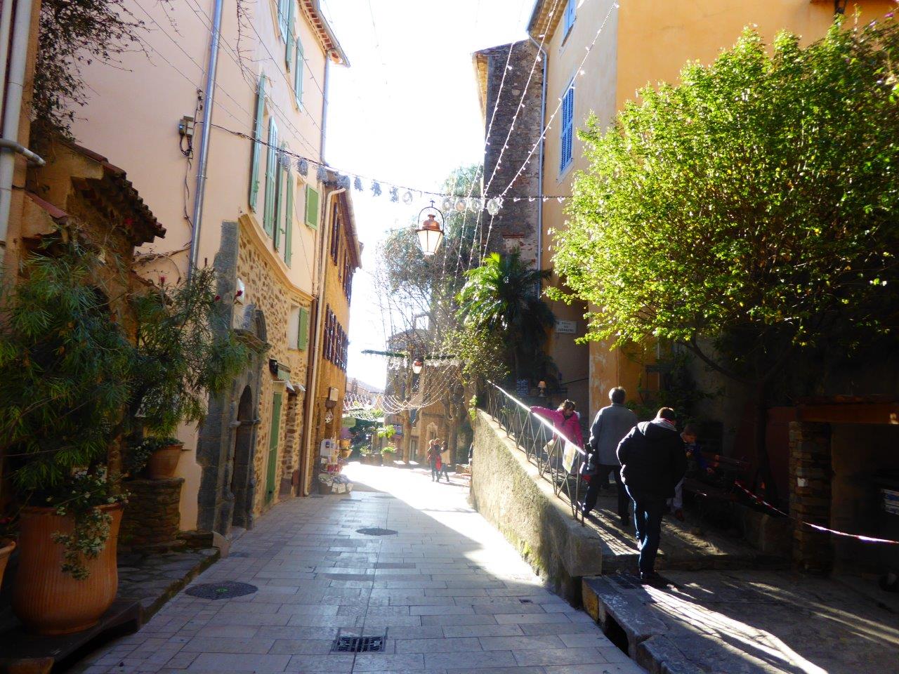 BORMES LES MIMOSAS : le reportage ! 