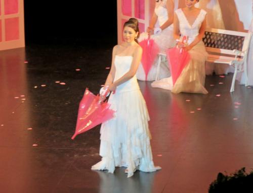 L'élection de Miss Côte d'Or au Théâtre Gaston Bernard : Les candidates....
