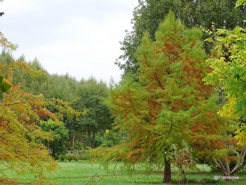 Jardin du Plessis Sasnières  - Loir et Cher (41)
