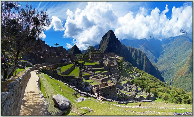 Ultime vision sur la cité Inca - Machu Picchu - Pérou