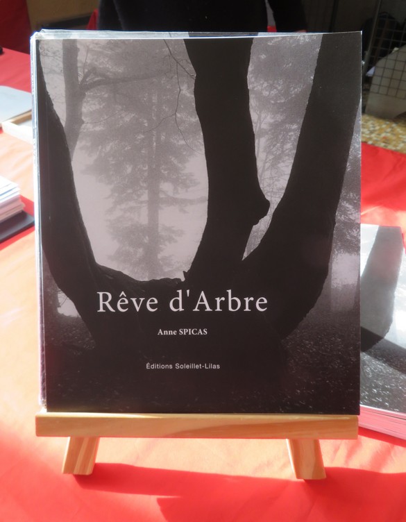 "Des livres au Village" à Recey-sur-Ource a permis de rencontrer des écrivain(e)s et une photographe talentueuse, Anne Spicas