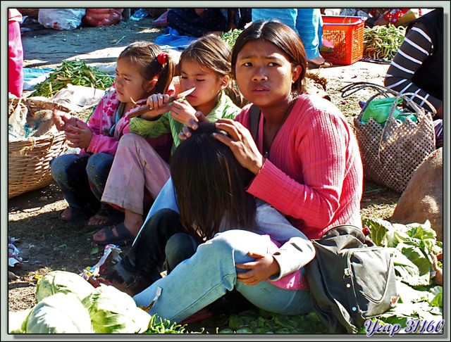 Blog de images-du-pays-des-ours : Images du Pays des Ours (et d'ailleurs ...), Portraits au marché de Punakha: chasse à la petite bête - Bhoutan