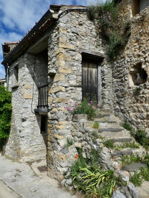 Peut être une image de arbre, mur de briques et plein air