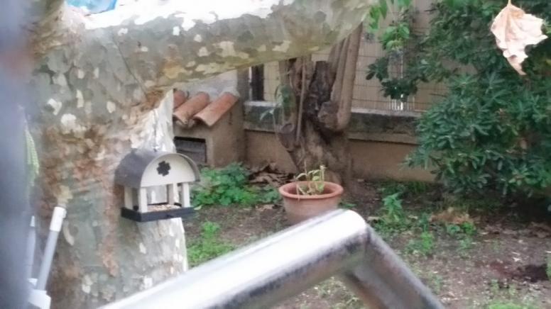 MARSEILLE- Mamiekéké et son Cricri d' amour jardinent .