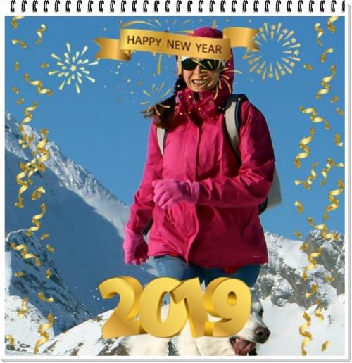 Janvier 2019