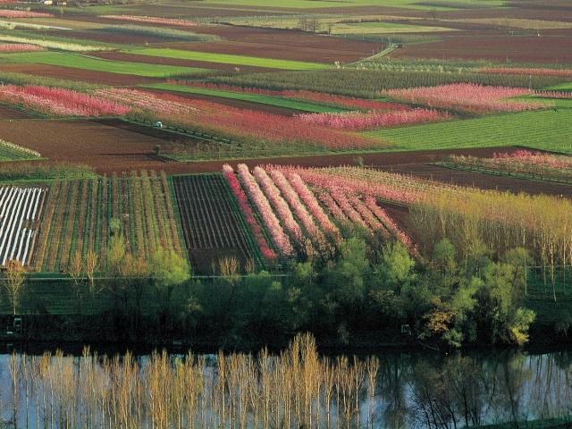 Département duTarn et Garonne