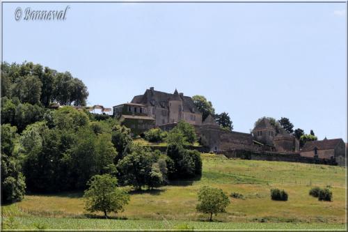 Les Jardins Suspendus de Marqueyssac Dordogne le château vu de la route en contre-bas