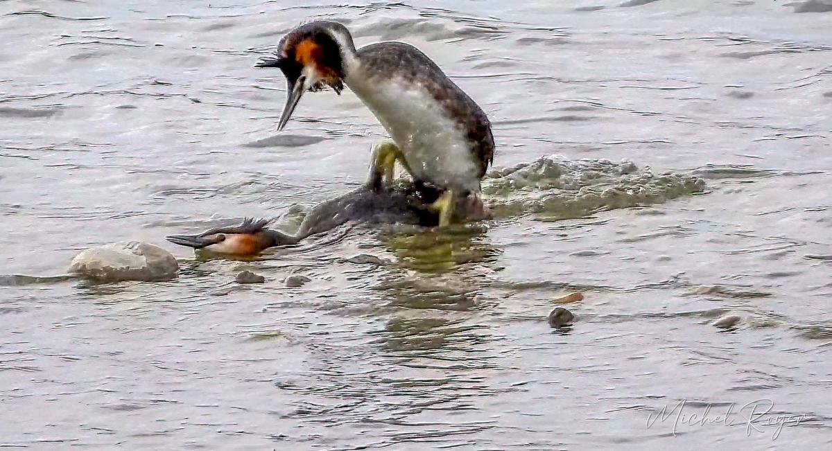 A L'Ecopôle du Val d'Allier dernièrement