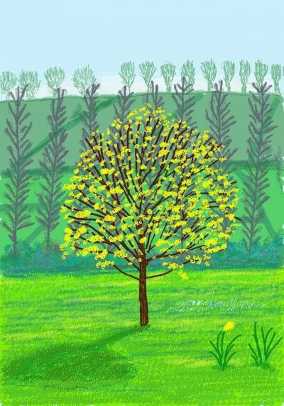 La galerie Lelong expose les derniers tableaux de David Hockney