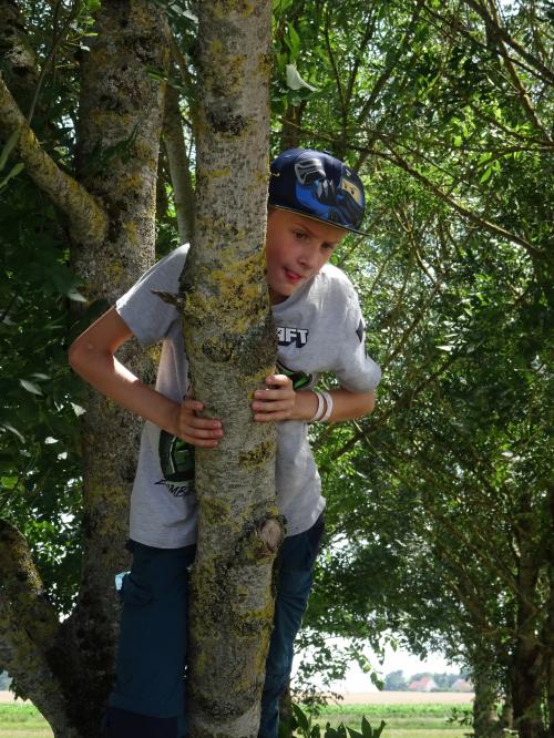 "Baladouce d'été" - Mardi 09 juillet 2024