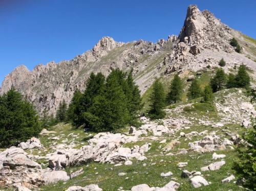 Col de Terre Blanche