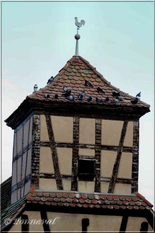 Pigeonnier intégré à l'habitation Logelheim Haut-Rhin