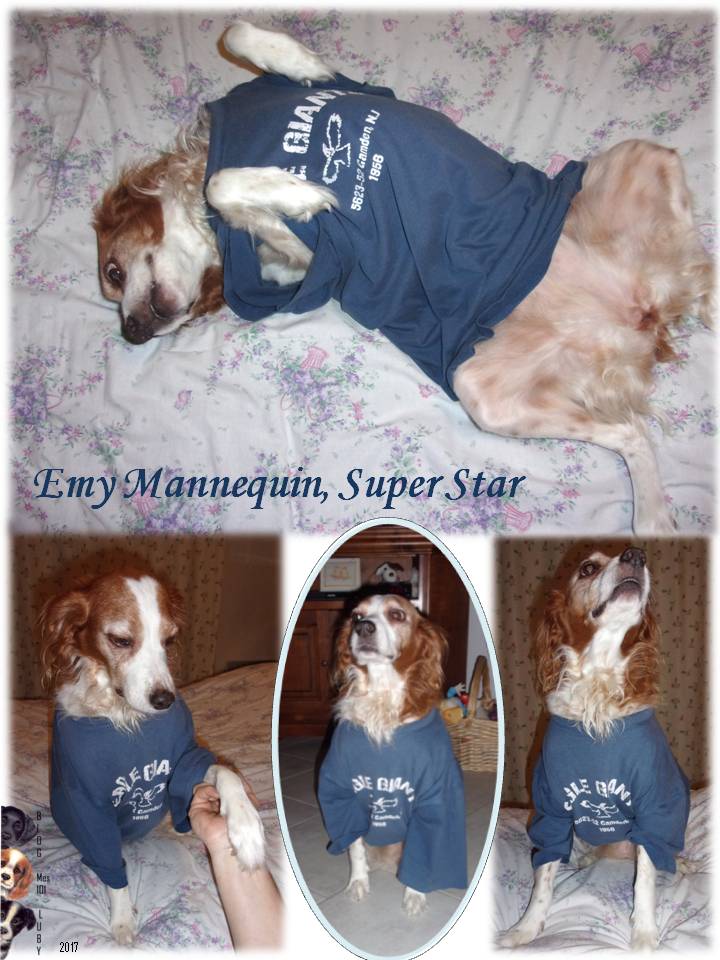 Emy Mannequin, Super Star