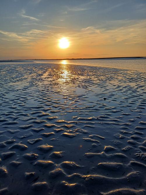 "En Baie de Somme" - Mardi 17 septembre 2024