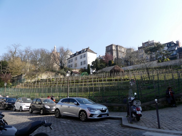 Vignes de Montmartre