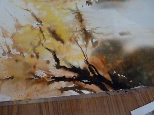 Démo  d'aquarelle de Dominique Riché 