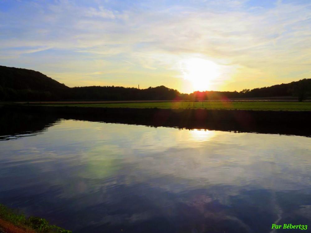 flroreffe en Belgique