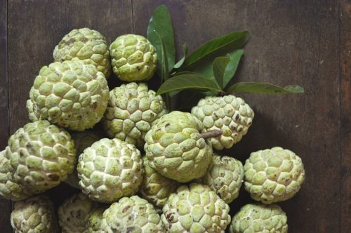 Fruits du mois d'Avril