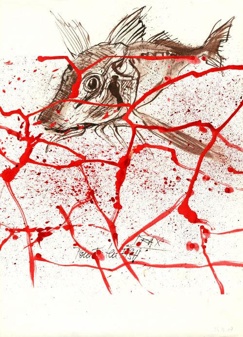 Eaten Fish, dessinateur iranien, camp de Manus Australie Amnesty