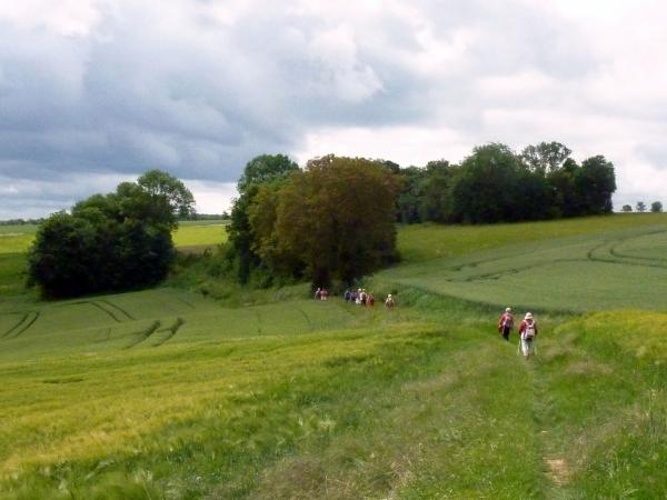 Randonnée entre Mareil-sur-Mauldre et Neauphle-le-Château