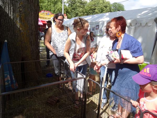 Les journées Châtillonnaises : producteurs locaux, associations, commerces, spectacles...