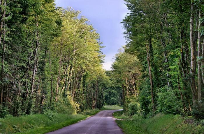 Département de la Nièvre