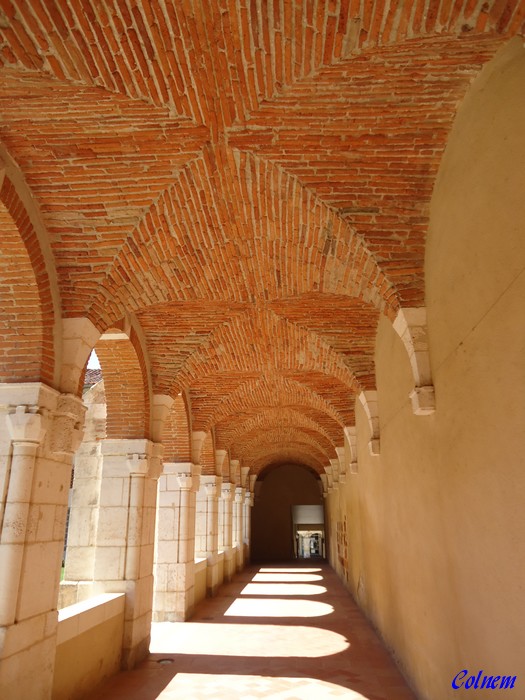 Landes: abbatiale St-Server 40500-2